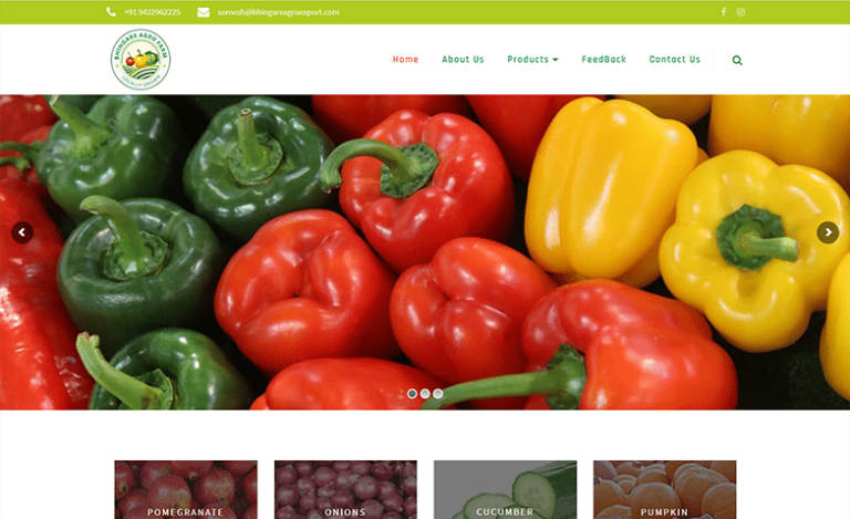 portfolio-bhingare-agro-exports